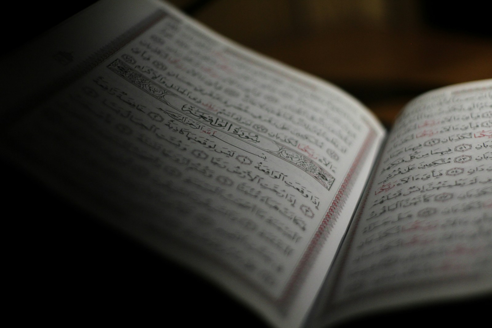 Photo by T Foz open book